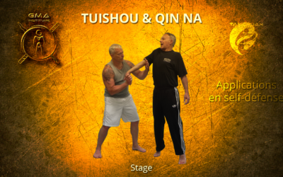 Stage de GMA – Tuishou et Qin Na
